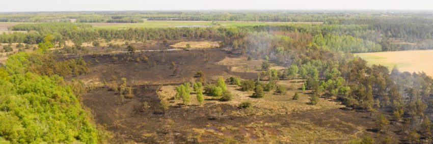 Kwetsbare natuur in de Liereman