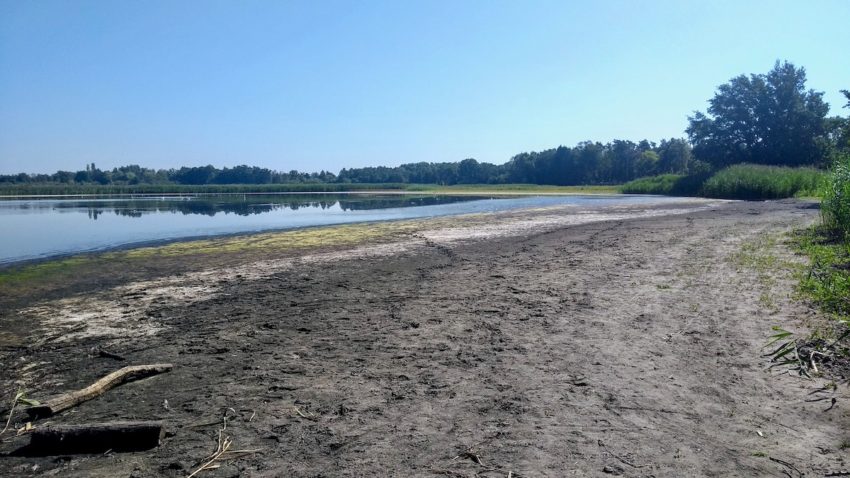 Waterschaarste in de Platwijers