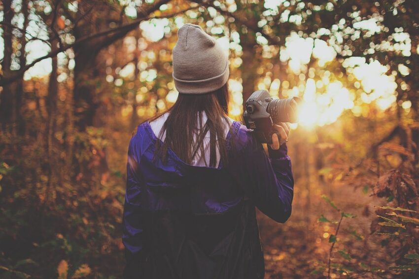 Fotografe in een bos