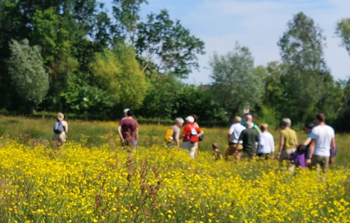 Wandeling in bloemenweide