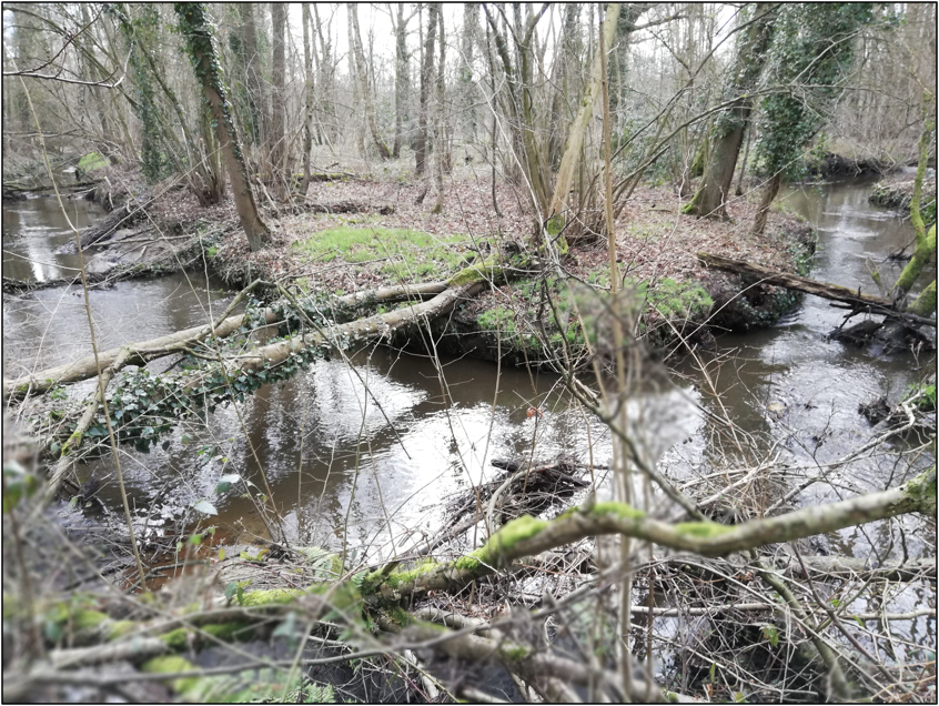 De Zonderikbeek meandert langs de Rode Vijvers