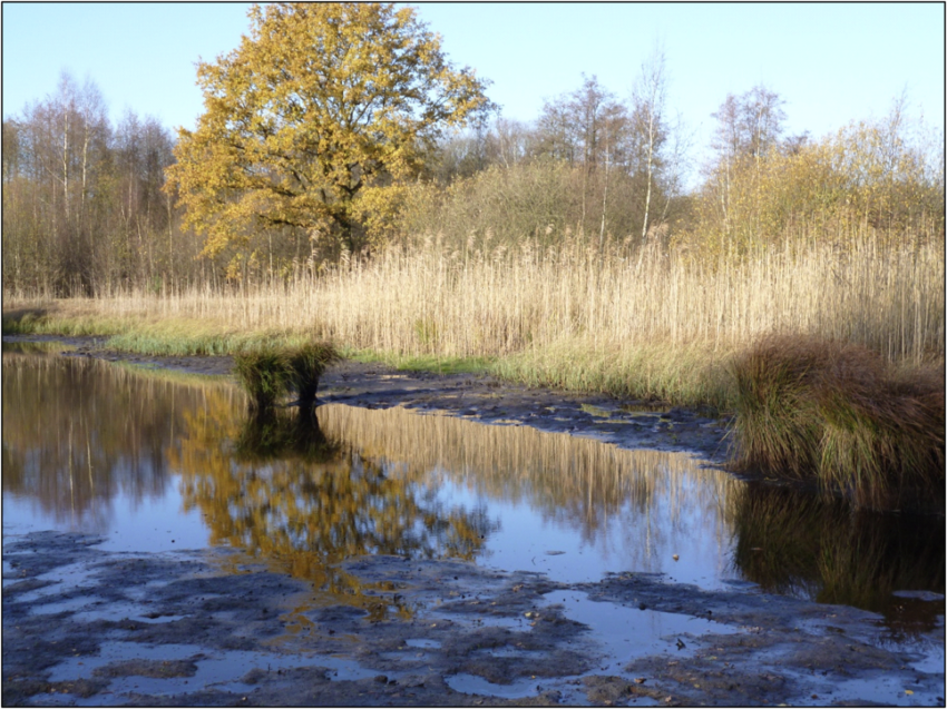 't Ringselke, één van de Rode Vijvers