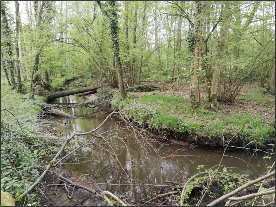 Oude Roosterbeek in de Wijven Broeken