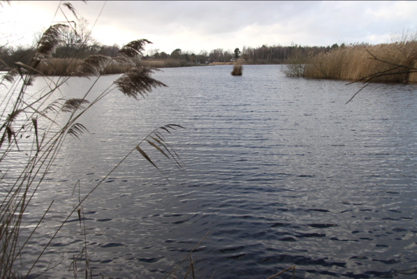 Groot Wijven in Wijvenheide