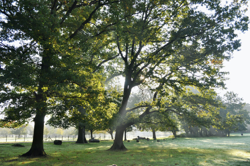 Natuurbeleid Hasselt