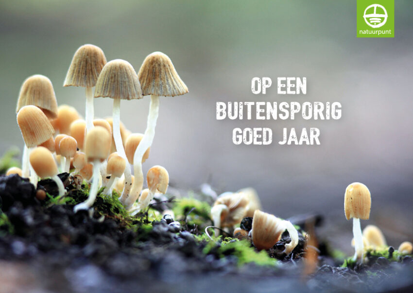 Op een buitensporig goed jaar voor de natuur